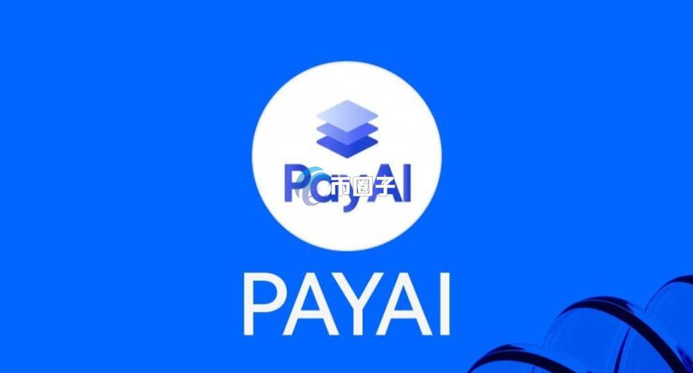 PAYAI是什么币种？PAYAI币有投资价值吗？