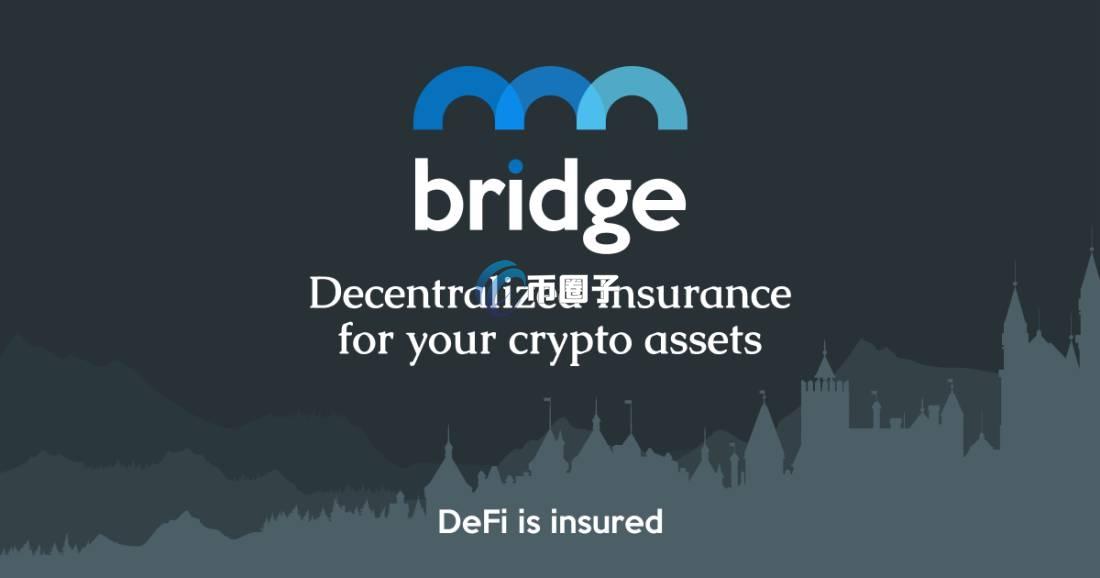 BMI币初始发行量和发行价是多少？