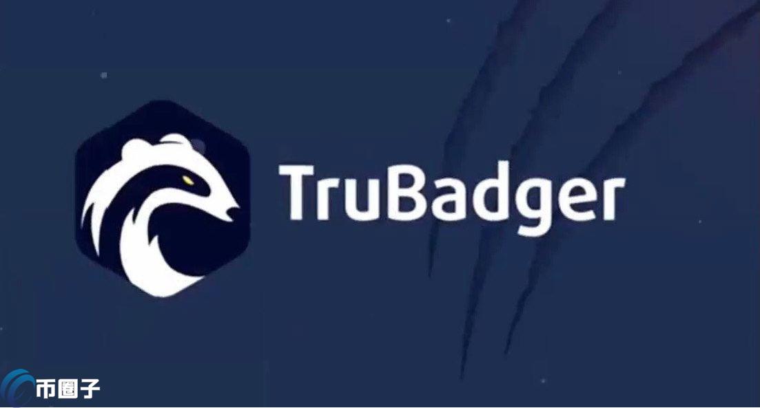TRUBGR币发行价格和发行数量各多少？