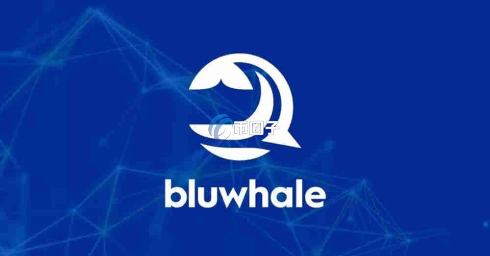 BLUAI是什么币种？BLUAI币怎么样？