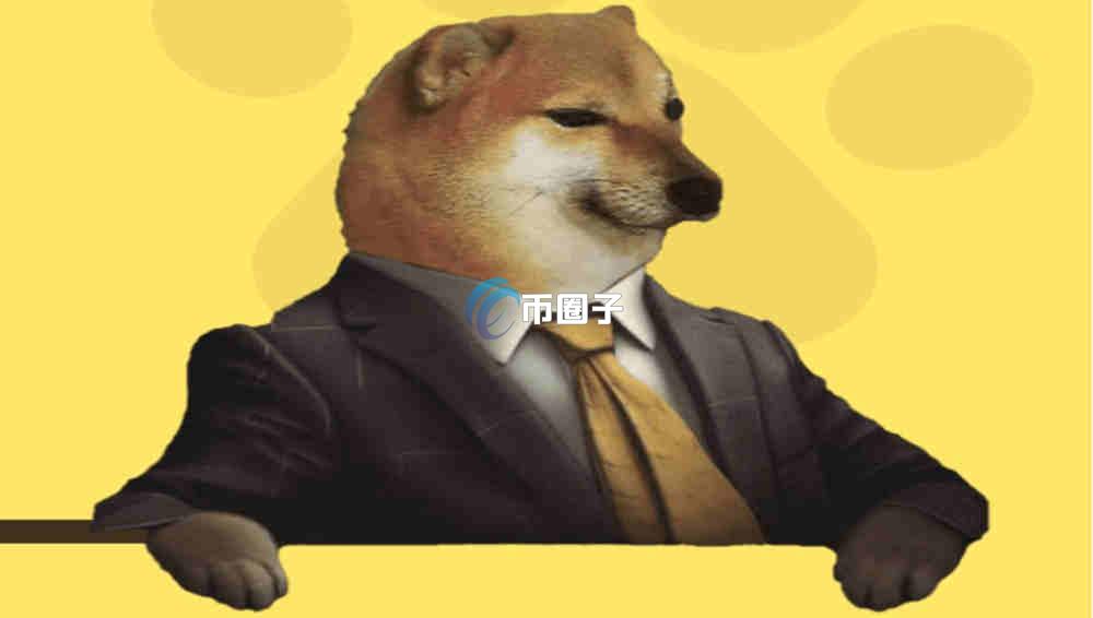 CHEEMS币会涨到10倍吗？CHEEMS币未来价格预测