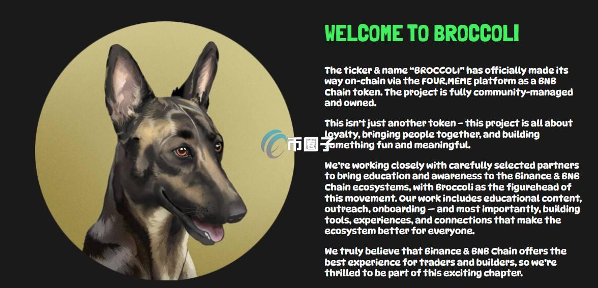 BROCCOLI币合约地址多少？BROCCOLI币合约地址介绍