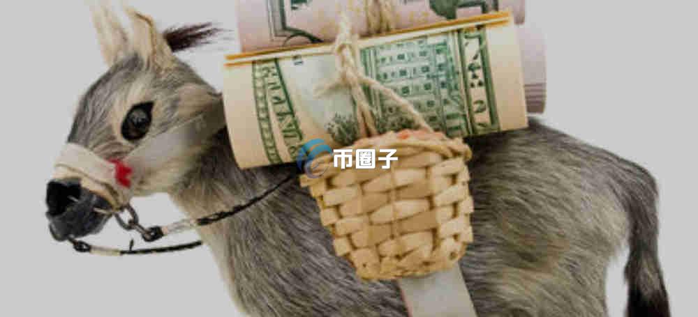 一文了解DONKEY币能暴涨吗？未来涨到1元吗？