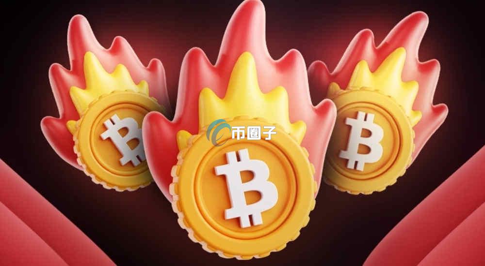币种销毁机制一般采用的比例有哪些类型？