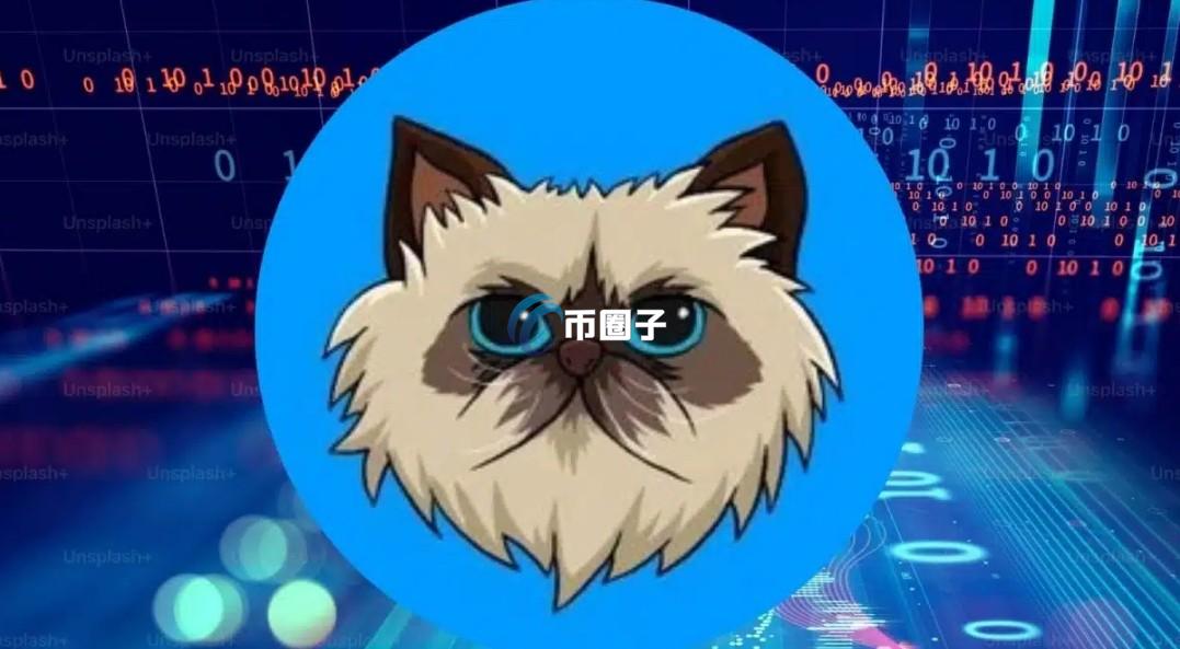 MIGGLES币发行量多少?MIGGLES币总量介绍 MIGGLES币发行量多少?MIGGLES币总量介绍