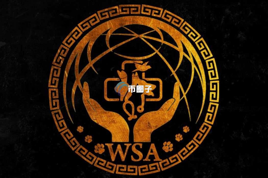 WSA是什么币？WSA币有投资价值吗？