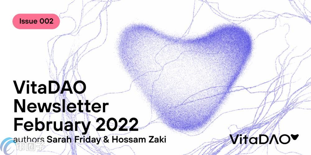 VITA是什么币种？VITA币值得投资吗？