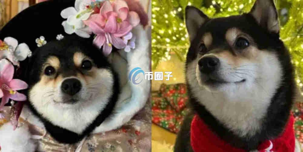 MANYU是什么币种？MANYU币值得投资吗？