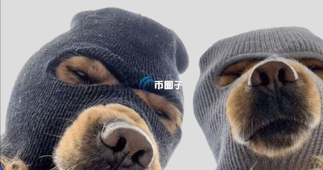 SKI是什么币种？SKI币怎么样？