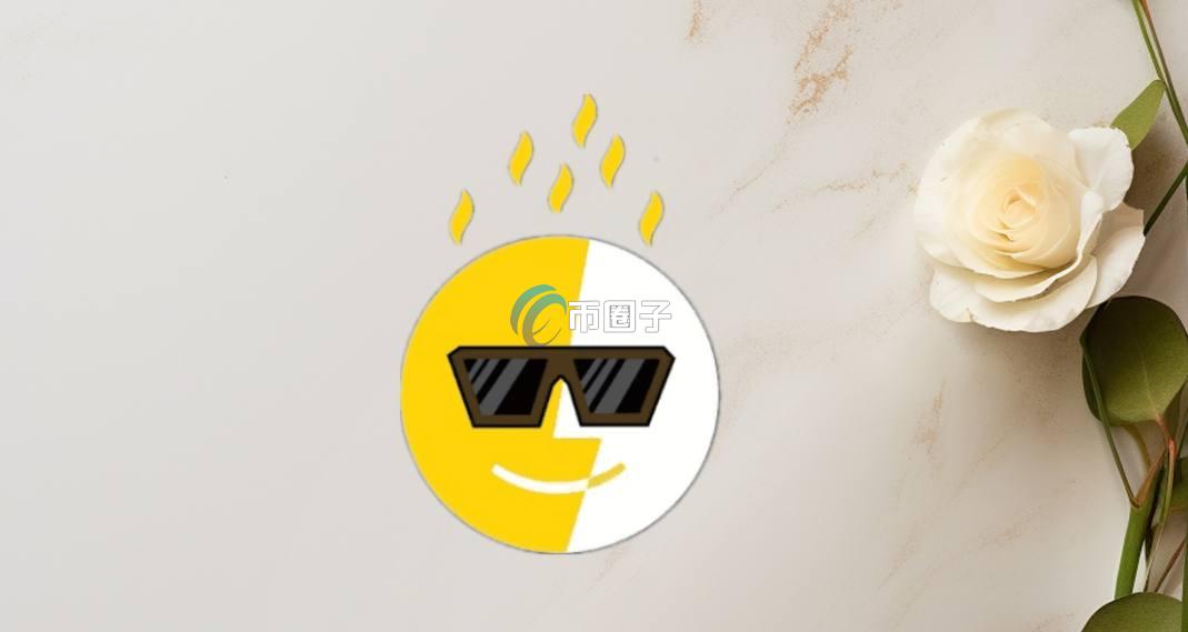 SSK币是什么币？SSK币有价值吗？