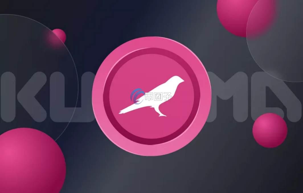 KSM币可以长期持有吗？