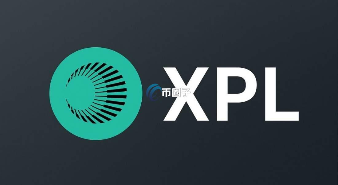 XPL币属于山寨币吗？XPL币适合长期持有吗？