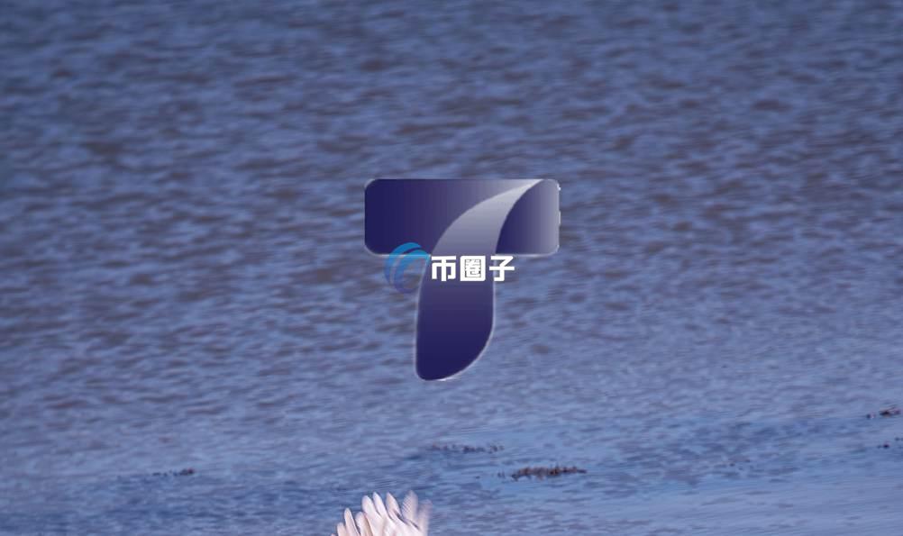 TLS是什么币种？TLS/太子币有潜力吗？