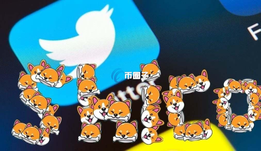 SHICO是什么币种？一文了解ShibaCorgi/SHICO币