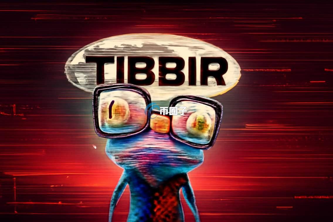 TIBBIR是什么币种？TIBBIR币怎么样？
