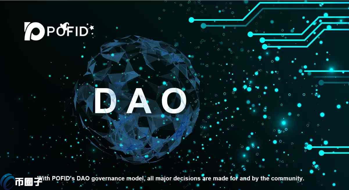 PFID是什么币种？PFID币全面介绍