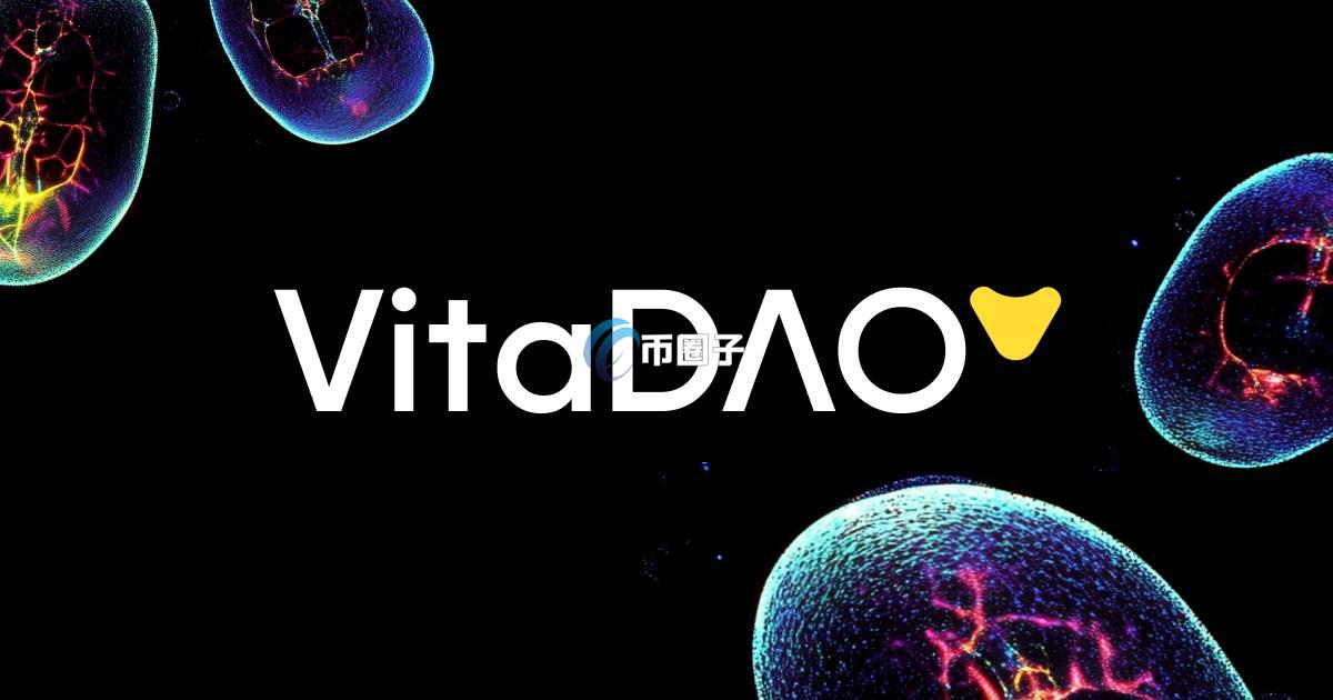 VITA是什么币种？VITA币值得投资吗？