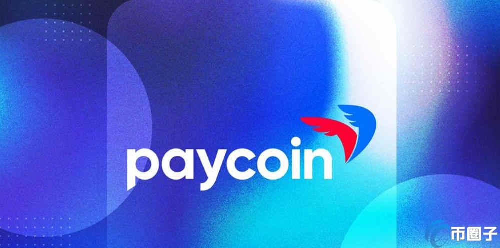 全面分析当PCI币暴跌是卖还是买？