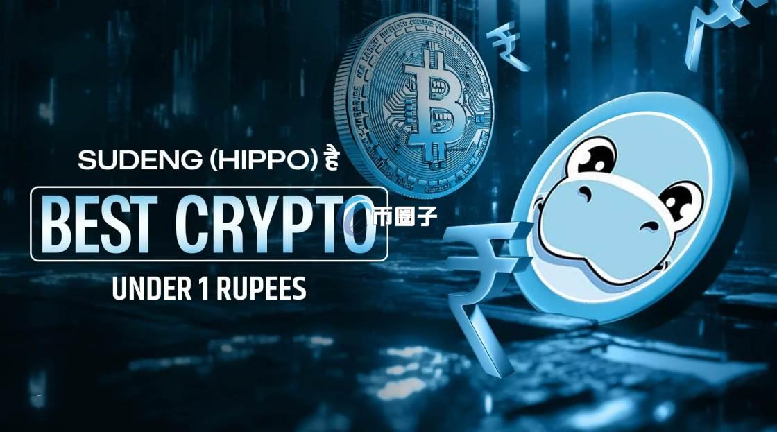 HIPPO币涨了多少倍？还能涨吗？