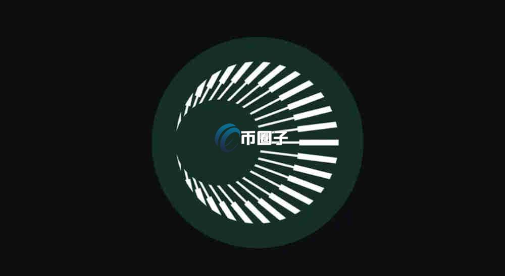 XPL币可以涨到100美元吗？XPL币未来价格前景分析