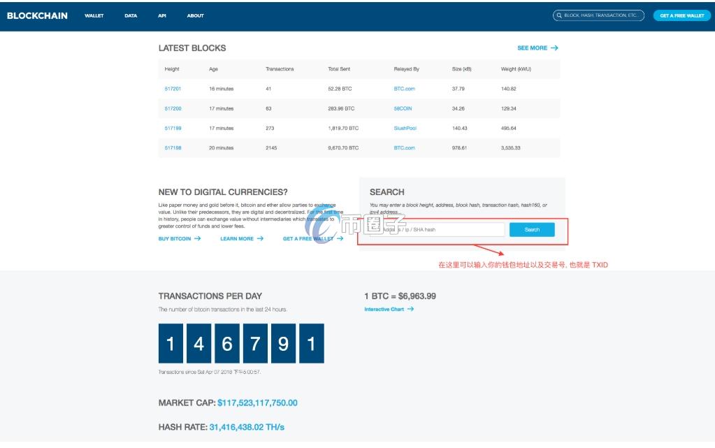 怎么查一个币种的持币数量？持币数量查询实操教程