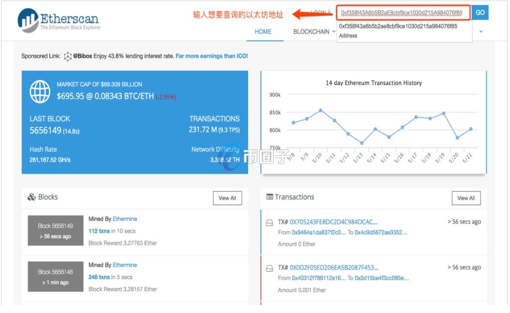 怎么查一个币种的持币数量？持币数量查询实操教程