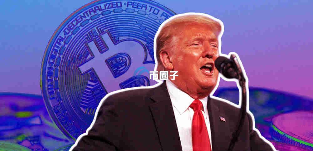 特朗普持仓最多的加密货币究竟是什么？