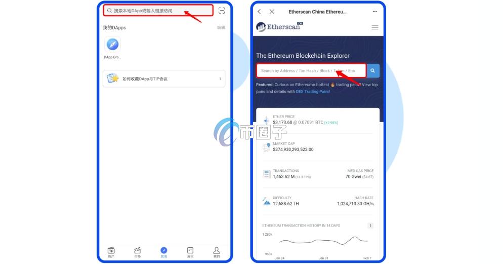 如何查询持币地址数量？持币地址明细查询指南