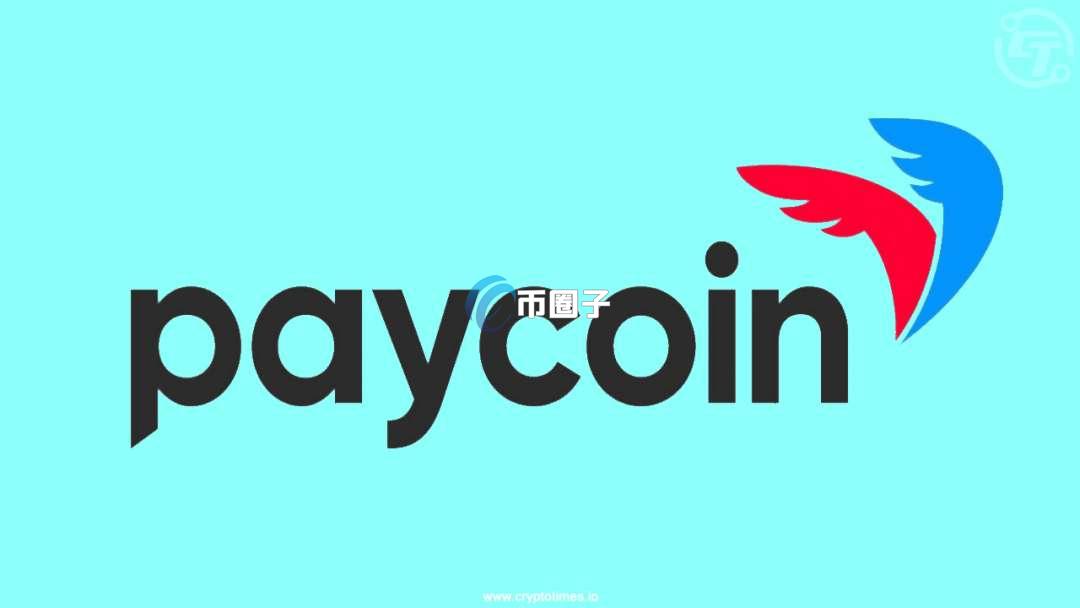 全面分析当PCI币暴跌是卖还是买？