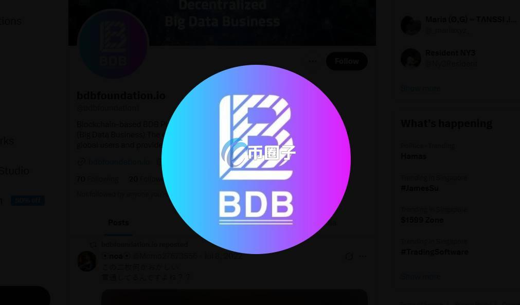 BDB是什么币？BDB币能投资吗？