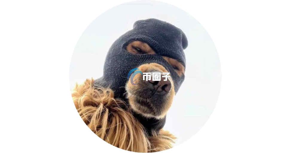 SKI是什么币种？SKI币怎么样？