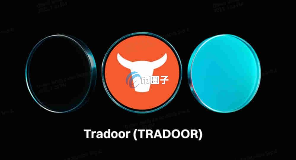 TRADOOR币和XPIN币哪个好？更值得投资？