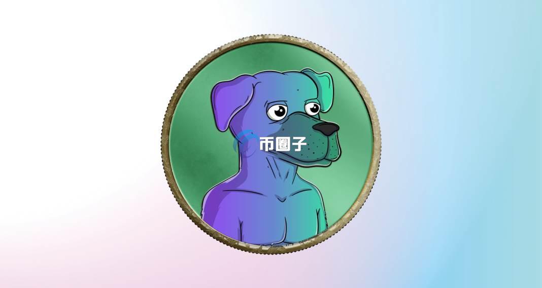 DOGGO是什么币种？DOGGO币值得投资吗？