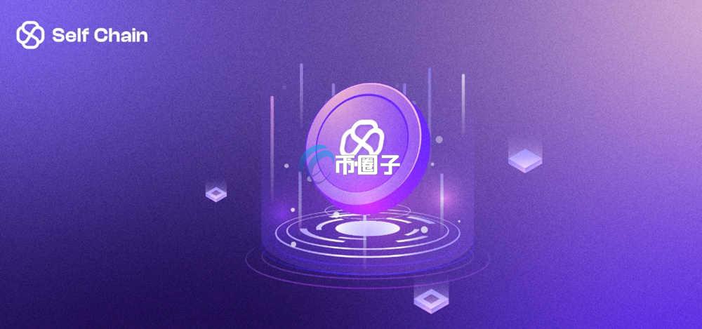 一文了解SLF币以前是哪个币？