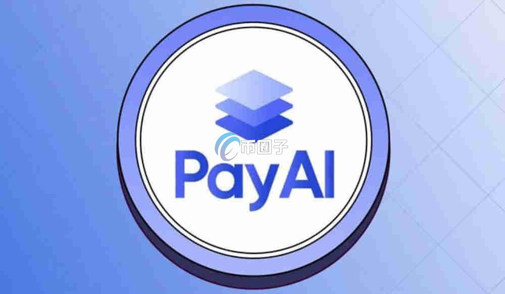 PAYAI币能成为百倍币吗？PAYAI币未来价格预测