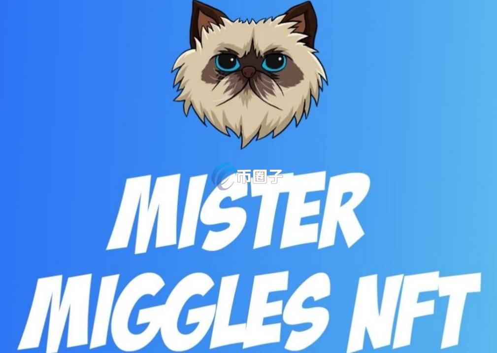 MIGGLES币是虚拟币吗？还有上涨趋势吗？