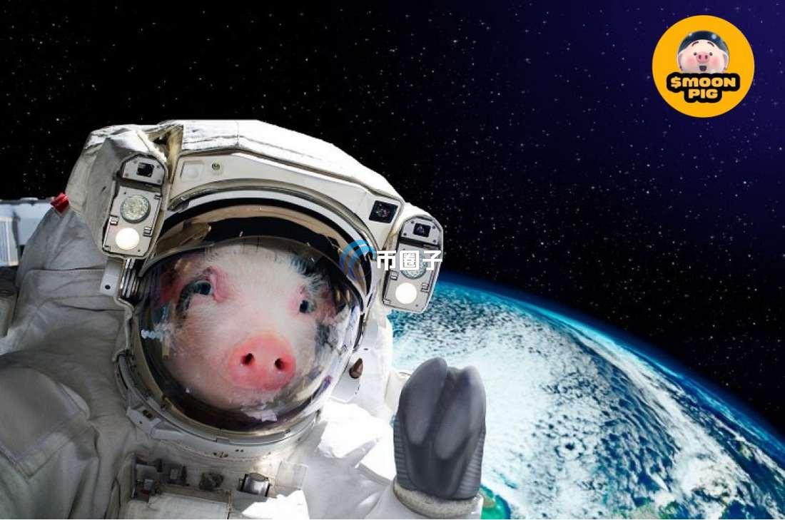 MOONPIG是什么币种?MOONPIG币怎么样? MOONPIG是什么币种?MOONPIG币怎么样?