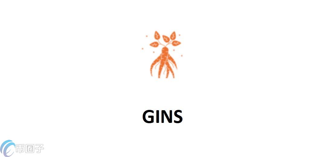 GINS是什么币种？GINS币能投资吗？