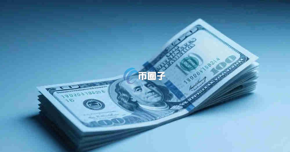 各种稳定币持有者的比例是多少？