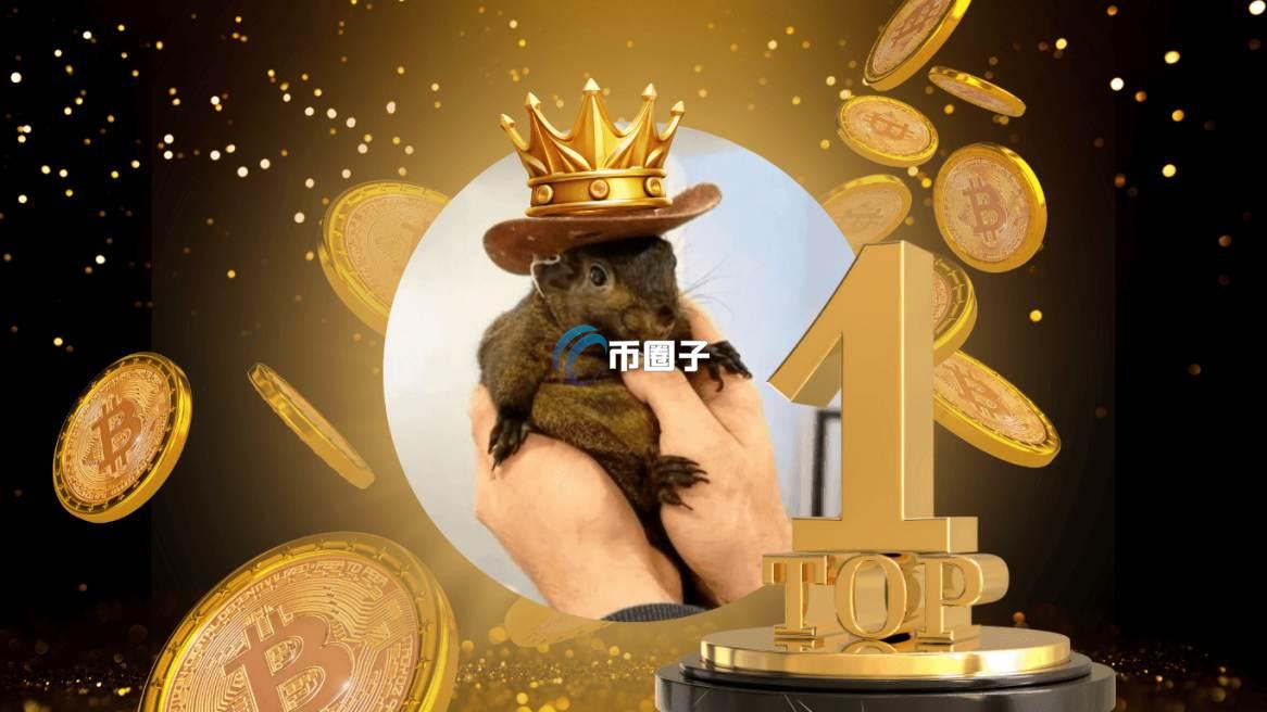 币圈有没有一夜涨了1000多的币？是哪些币？