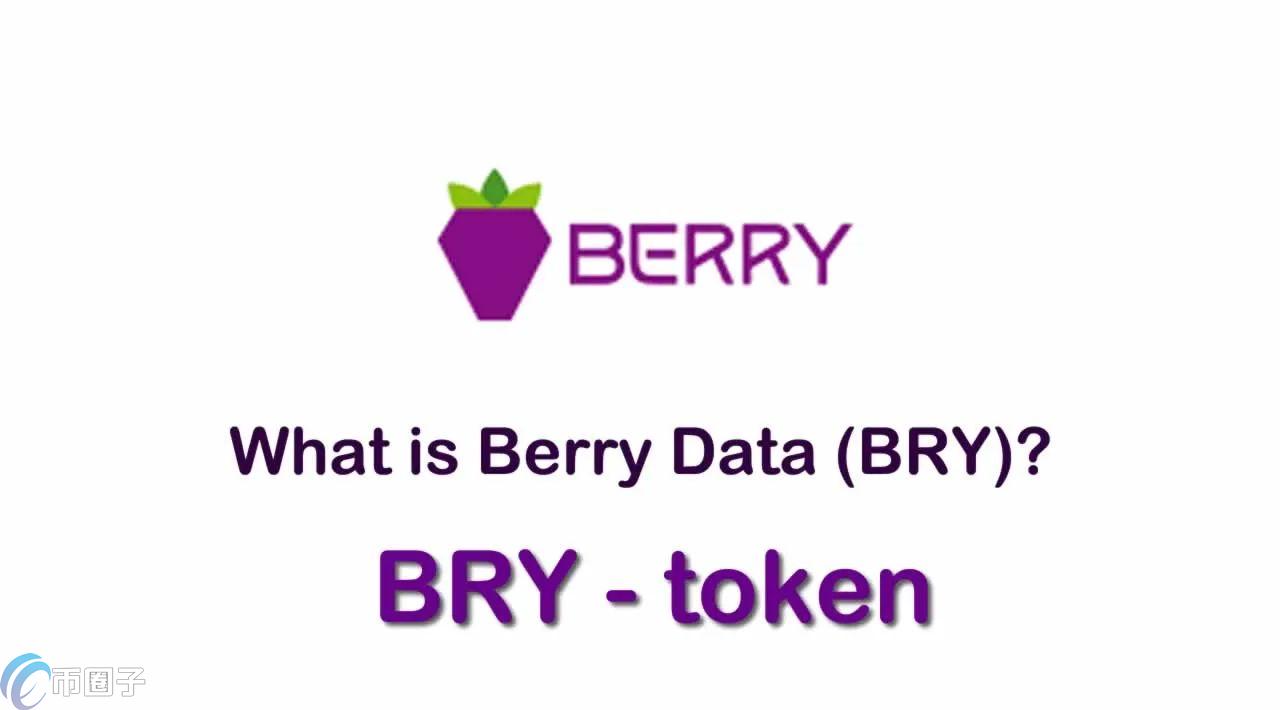 BRY是什么币？一文全面了解BRY币