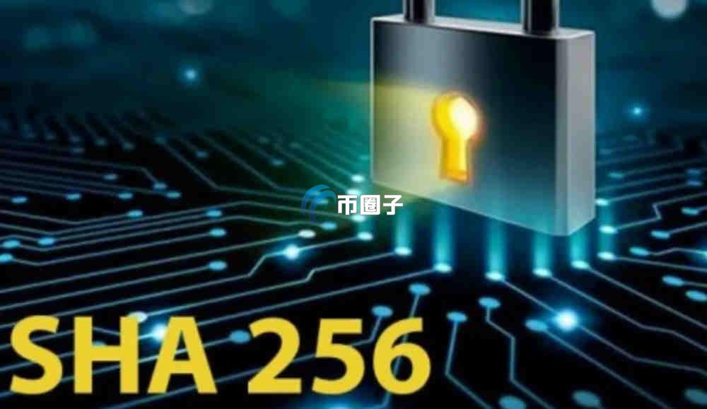 2026年分叉币排名榜单TOP更新了 2026年分叉币排名榜单TOP更新了