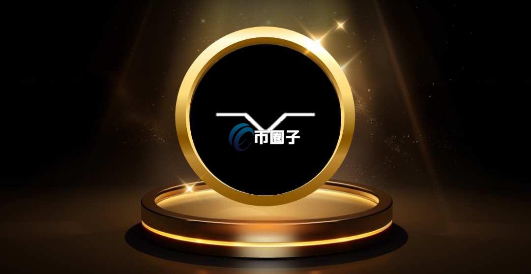 DMC币是什么币？DMC币怎么样？