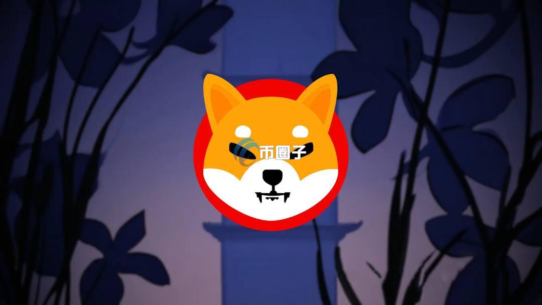 现在炒什么币最挣钱最快？