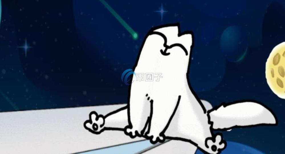 一文了解1000CAT币和CAT币的区别