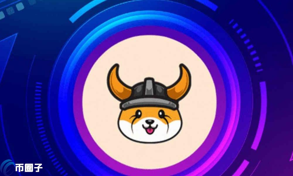 FLOKI币已经多少倍了？有可能万倍吗？