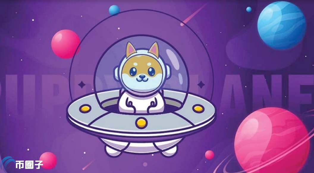 PUP币总量多少？PUP币发行量介绍