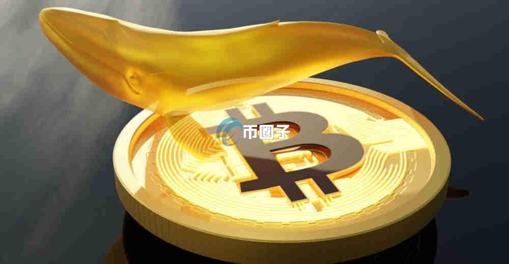 一文了解什么币有升值潜力？