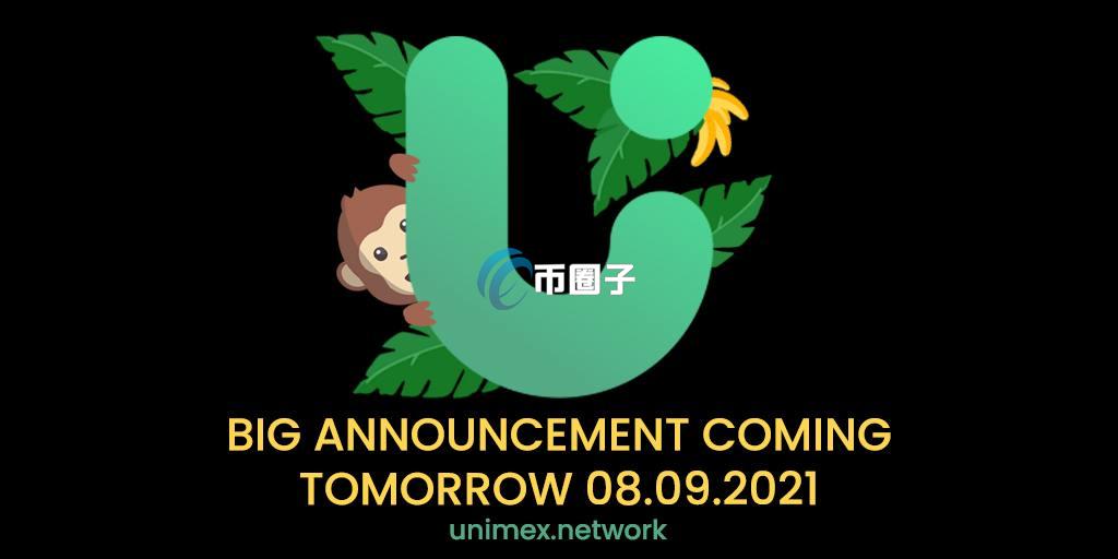 UMX币总发行量和总市值是多少？