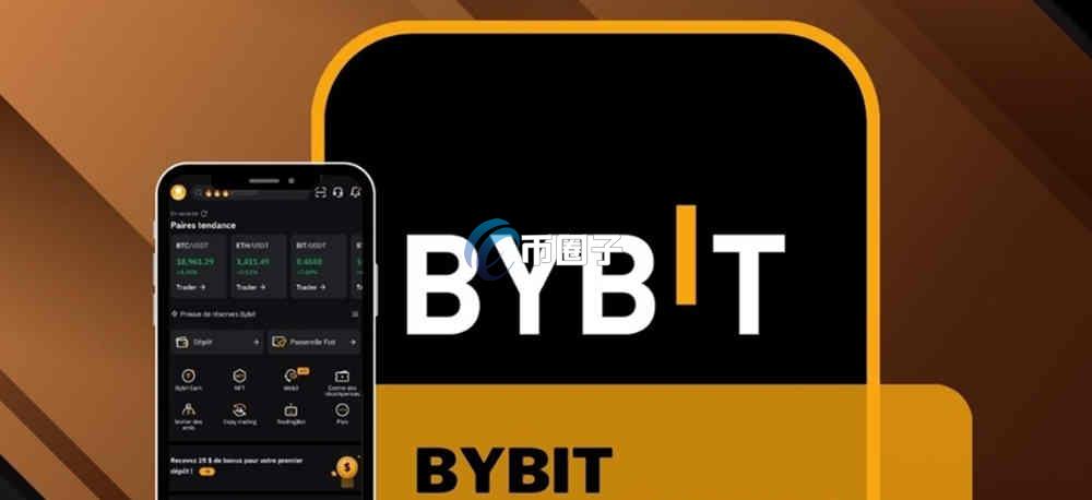 Bybit卡能国内消费吗？会限制吗？